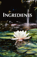 All of our skincare product ingredients