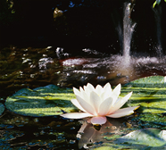 Beyond Nanotechnology